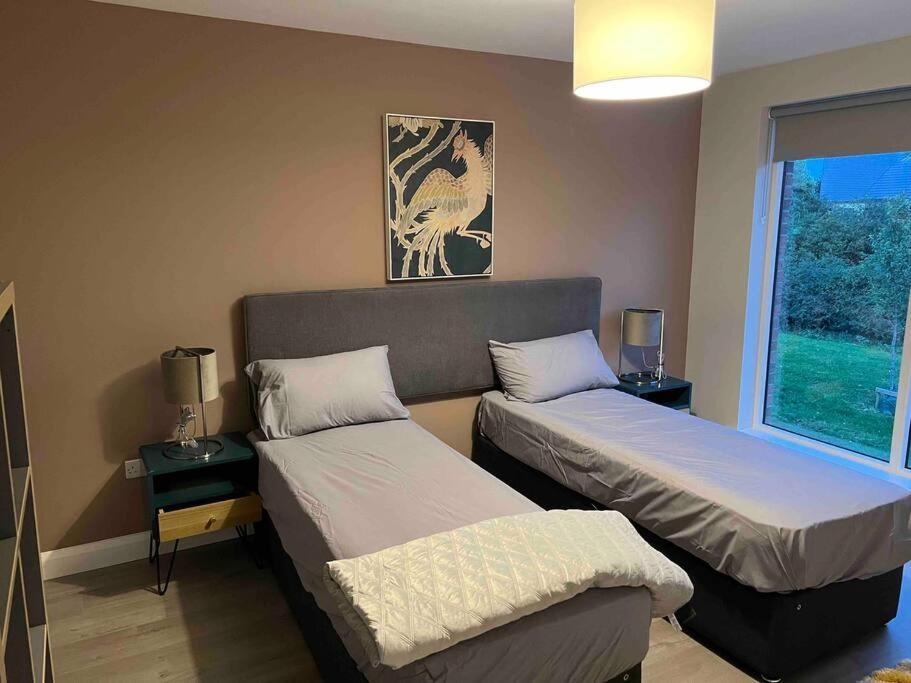 3 Bed Rooms Vip Family House 都柏林 外观 照片