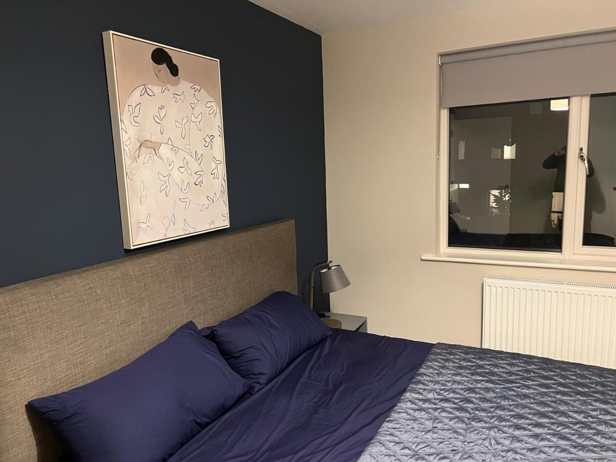 3 Bed Rooms Vip Family House 都柏林 外观 照片